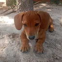 MixtapeBand-ParaguayMix icon