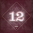 Modmas2025-Modmas_2025_Day_12 icon