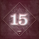 Modmas2025-Modmas_2025_Day_15 icon