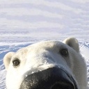 MumisGang-modpack_superfun_plus-1.0.7 icon