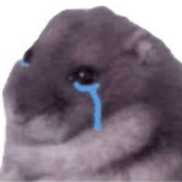 N31-Szczuro_Paczka icon