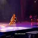 Neidhard-Spinning_Cockroach_live icon