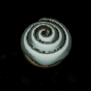 Nhoj1000-CinnasBun icon