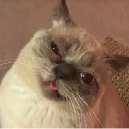 Onlynyans-Pistonsito_Models icon