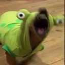 PeakYap-ManyFacesofFlipYap icon