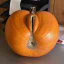 Piss_Pals-mingePack icon