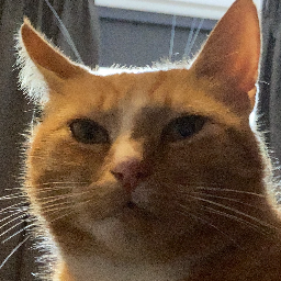 Quintino-Cartoon_suits icon