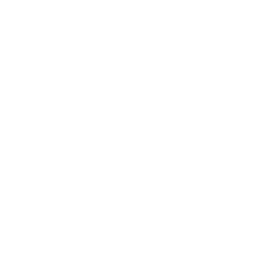 RCT-Stocznia icon