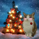 RoidVoid335-Jolly_Menu_Music icon