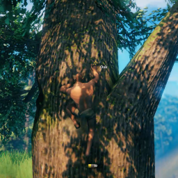 Rotceh999-ValheimClimbingMod icon
