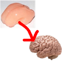 SigEp-WrinklerPatcher_TombstoneLock icon