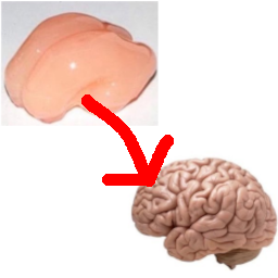 SigEp-WrinklerPatcher_TombstoneLock icon