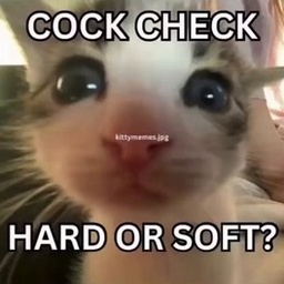 SillySlayers-ChartieWartie icon