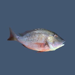 Fish Sword | Thunderstore - The R.E.P.O. Mod Database