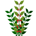 Smoothbrain-Foraging-1.0.10 icon