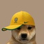 So_nois-sPEAKer_Brasilian_musics-1.0.1 icon