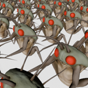 SoftDiamond-HoarderBud icon