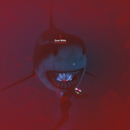 Soloredis-RtDOcean icon