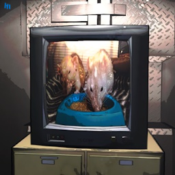 SomeRando-SomeRandos_TV_videos icon
