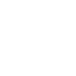 Sparroh-CheatMenu icon