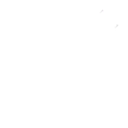 Sparroh-DescriptionOverride icon