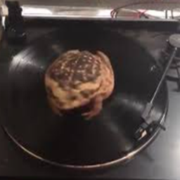 SpinningFrogCo-SpinningFrogCo_CustomPaintings icon