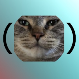 Stubbins-ThePaulaCertifiedModpack icon