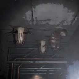 Suki-LCFairCompany icon