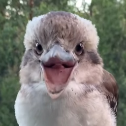 TKXYZ-TKModpack icon