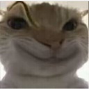 T_Explorers-Fusion icon