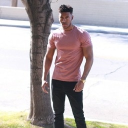 TeamParadox-Crime_Net_Modpack icon