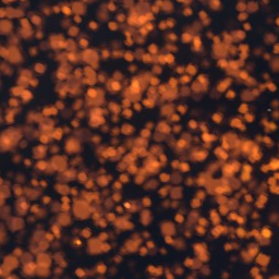 Thunder1-ThundersModpk icon