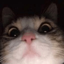 Tillundmausi-LethalLushka icon