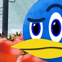 Tomatobird-TomatoScrap icon