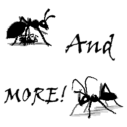 TurklesTeam-Turkles_Ants_Plus icon