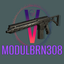Volks-ModulBRN308-1.0.0 icon