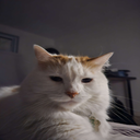 WarperSan-WarpersModPack icon