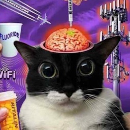 Yakooo-phone_ringersforgooners icon