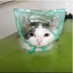 ZestyMen-ThotPockets_not_nsfw icon