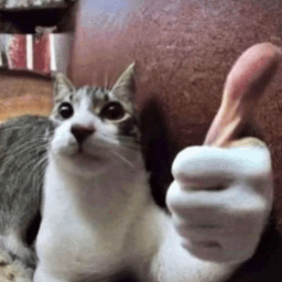 beegShrimp-MoreGuns icon