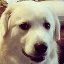 boring-360View-1.0.1 icon