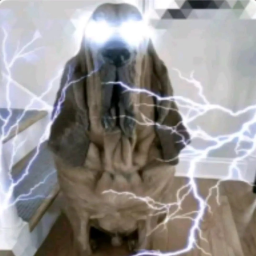 capybaranut-StunShovel icon