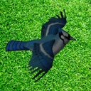 coemt-Birds-0.1.0 icon