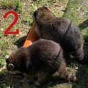 damecube-DamecubePosters icon