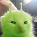 demimir-GlorpEars icon