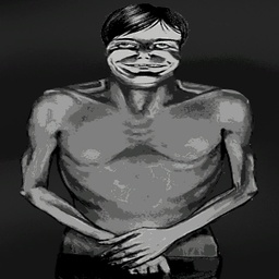 dhu213-SuperVisitorTheme icon