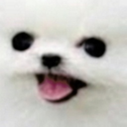 extinctiongod-extinctiongod icon