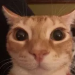 godlosgyo67-Modpack_for_my_friends icon