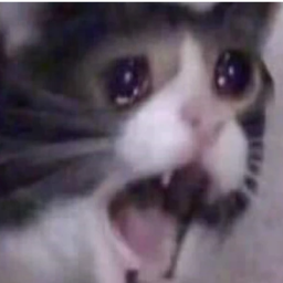 grossebanane-SugonDeezSuits icon