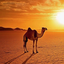 hirnukuono-DesertMarkerFix-0.0.2 icon
